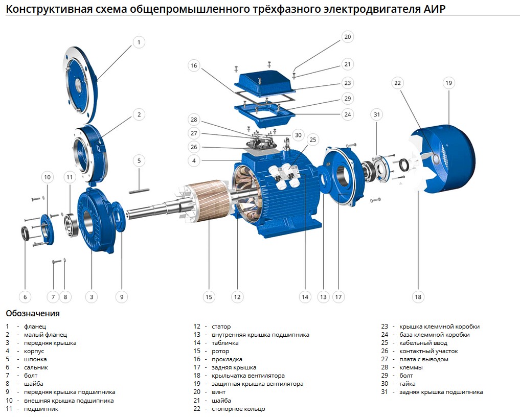 конструктивная схема электродвигателя АИР